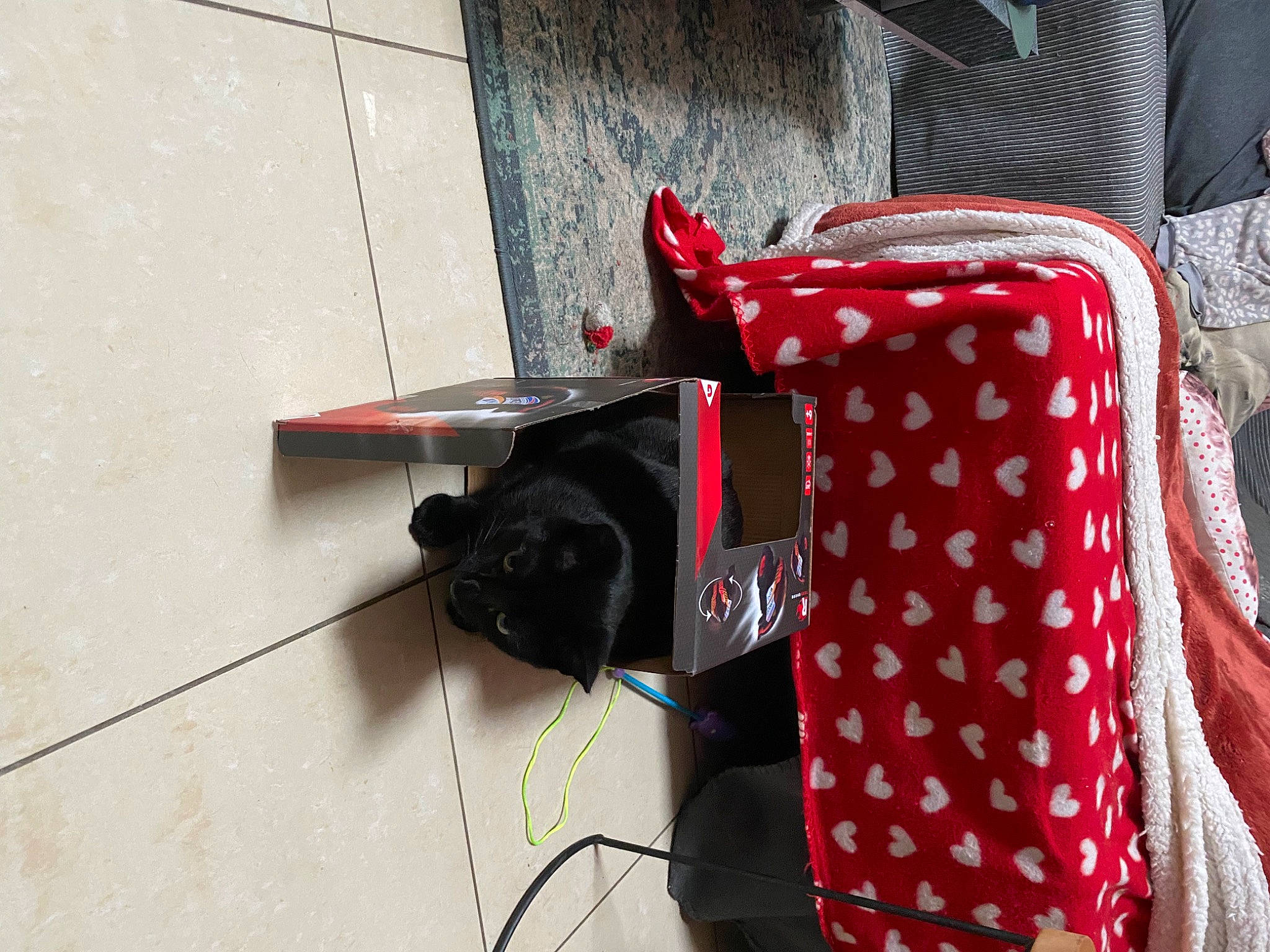 Hoper participe au concours pour gagner de l'argent avec cette photo : audio_equipment, bag, cable, carmine, door, electrical_supply, electrical_wiring, fashion_accessory, linens, magenta, pattern, plaid, polka_dot, room, sleeve, t_shirt, tartan, visual_arts, wire, wood