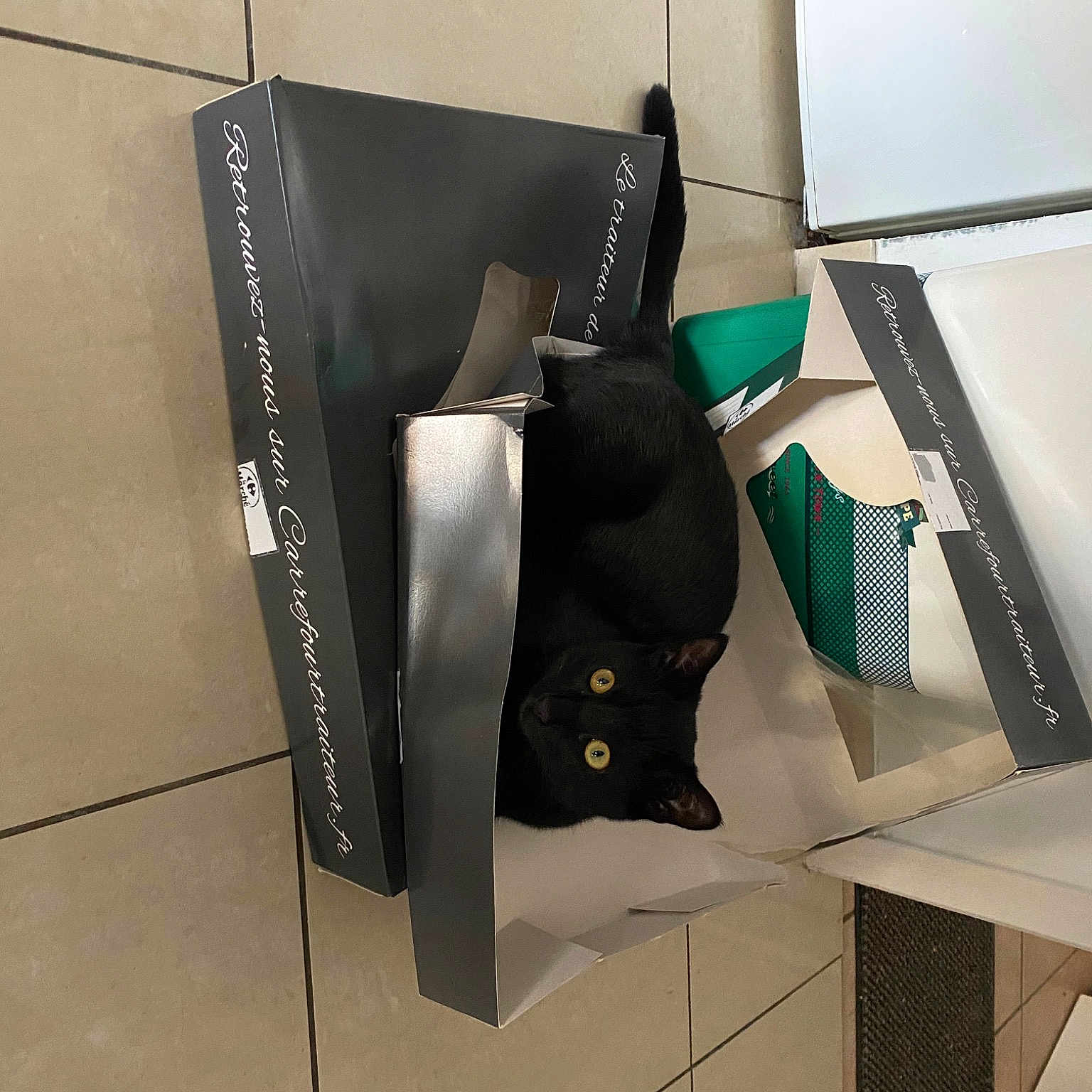 Hoper a rejoint le concours — aidez-le/la à gagner de superbes lots ! automotive_design, bag, brand, carmine, carton, eyewear, fashion_accessory, flooring, font, graphic_design, material_property, packaging_and_labeling, packing_materials, paper, paper_bag, paper_product, rectangle, room, tie, visual_arts