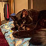 animal, bedroom, black_cat, blanket, cat, clothing, cozy, eyes, fur, furniture, home, indoor, pattern, paw, pet, relaxation, resting, sleepy, soft, warm_lighting