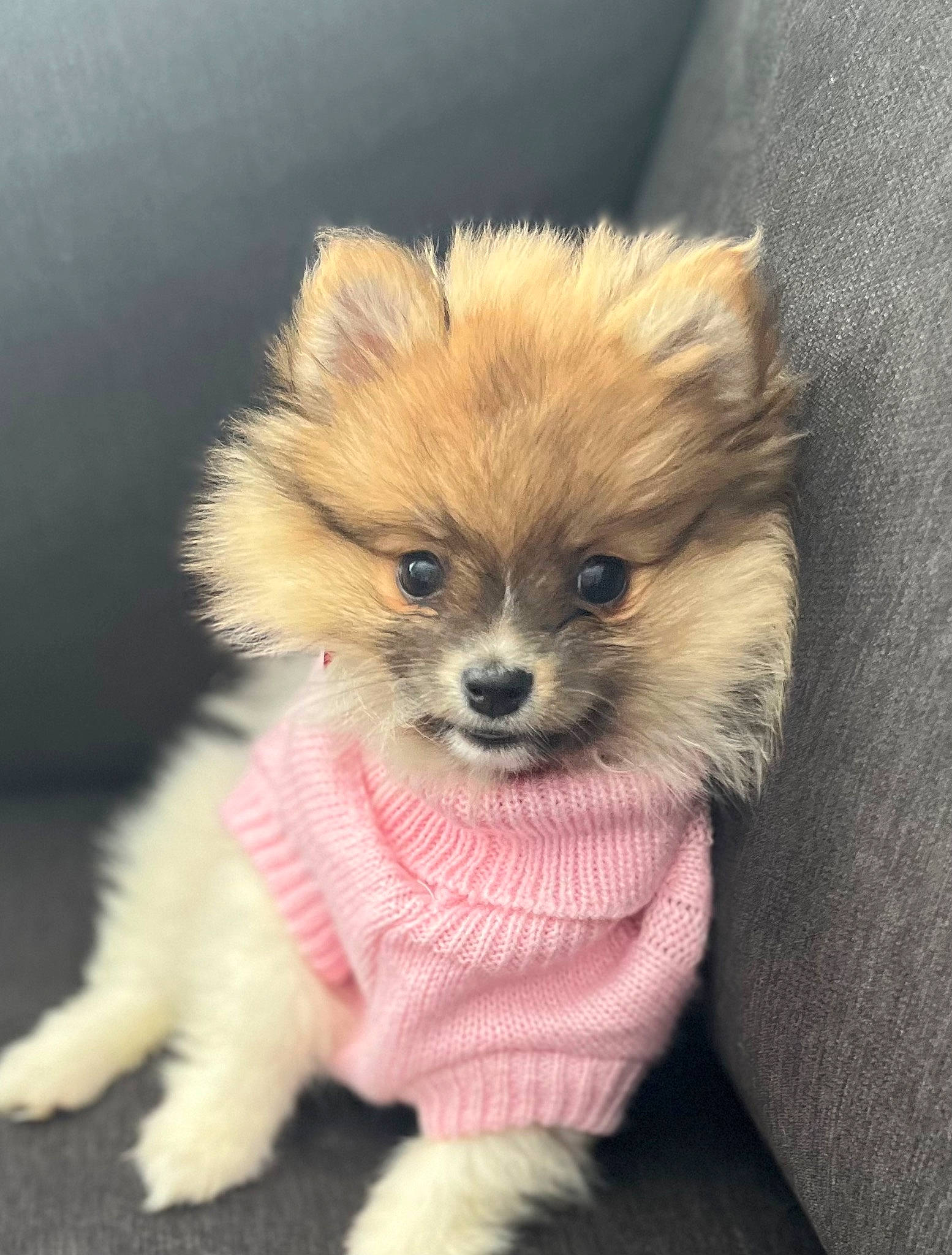 Ruby