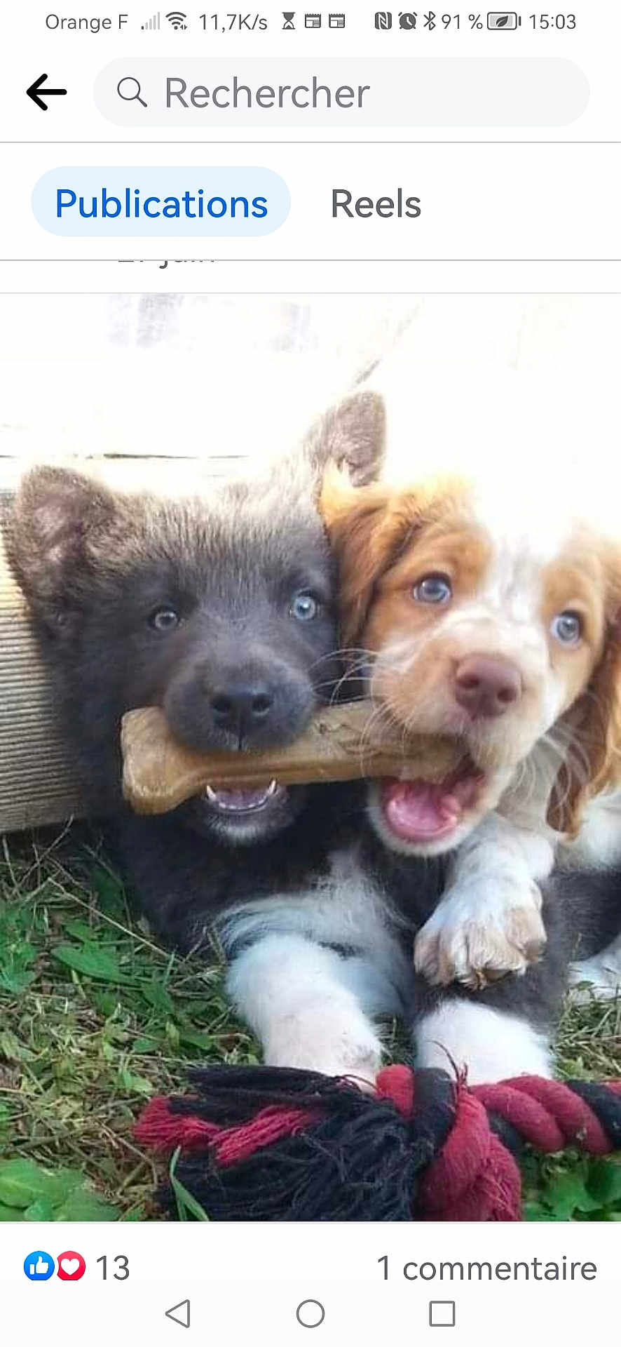 Layka Et Layko