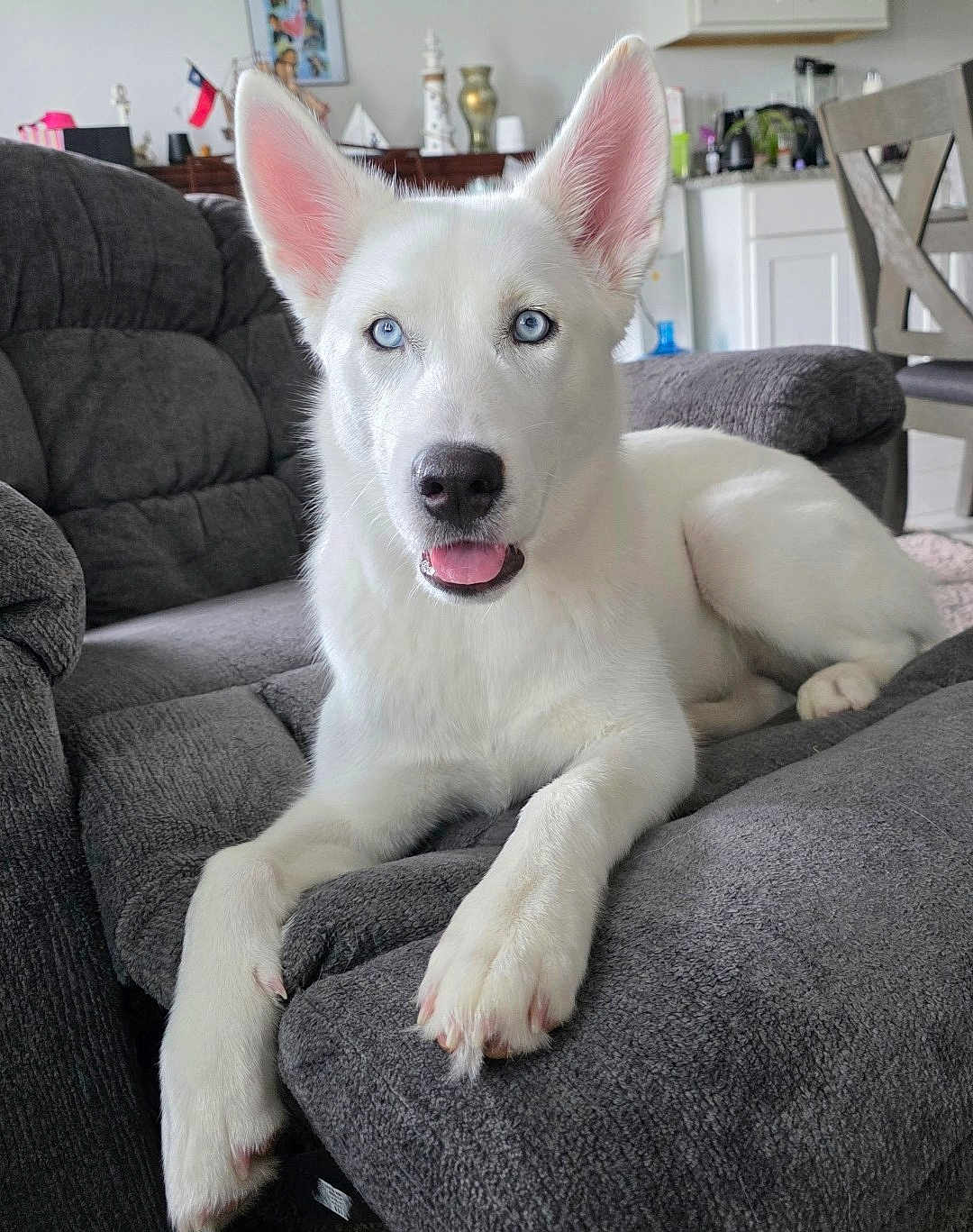 Akira