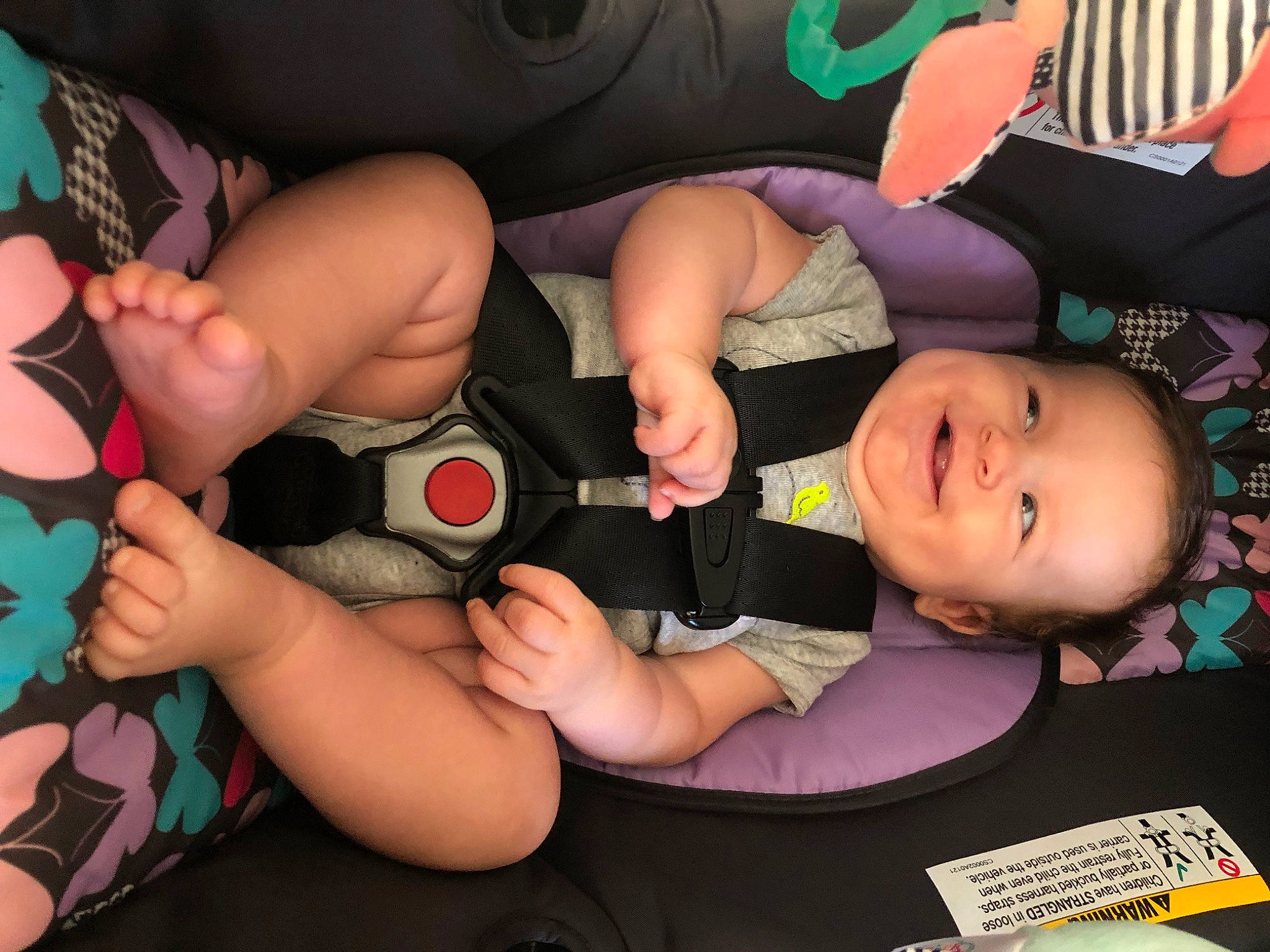 Jenna is registered to the contest to win money with this photo: baby, baby_products, baby_toddler_clothing, car_seat, chest, child, cool, finger, foot, fun, gesture, human_body, human_leg, joy, mouth, nail, person, t_shirt, thigh, thumb