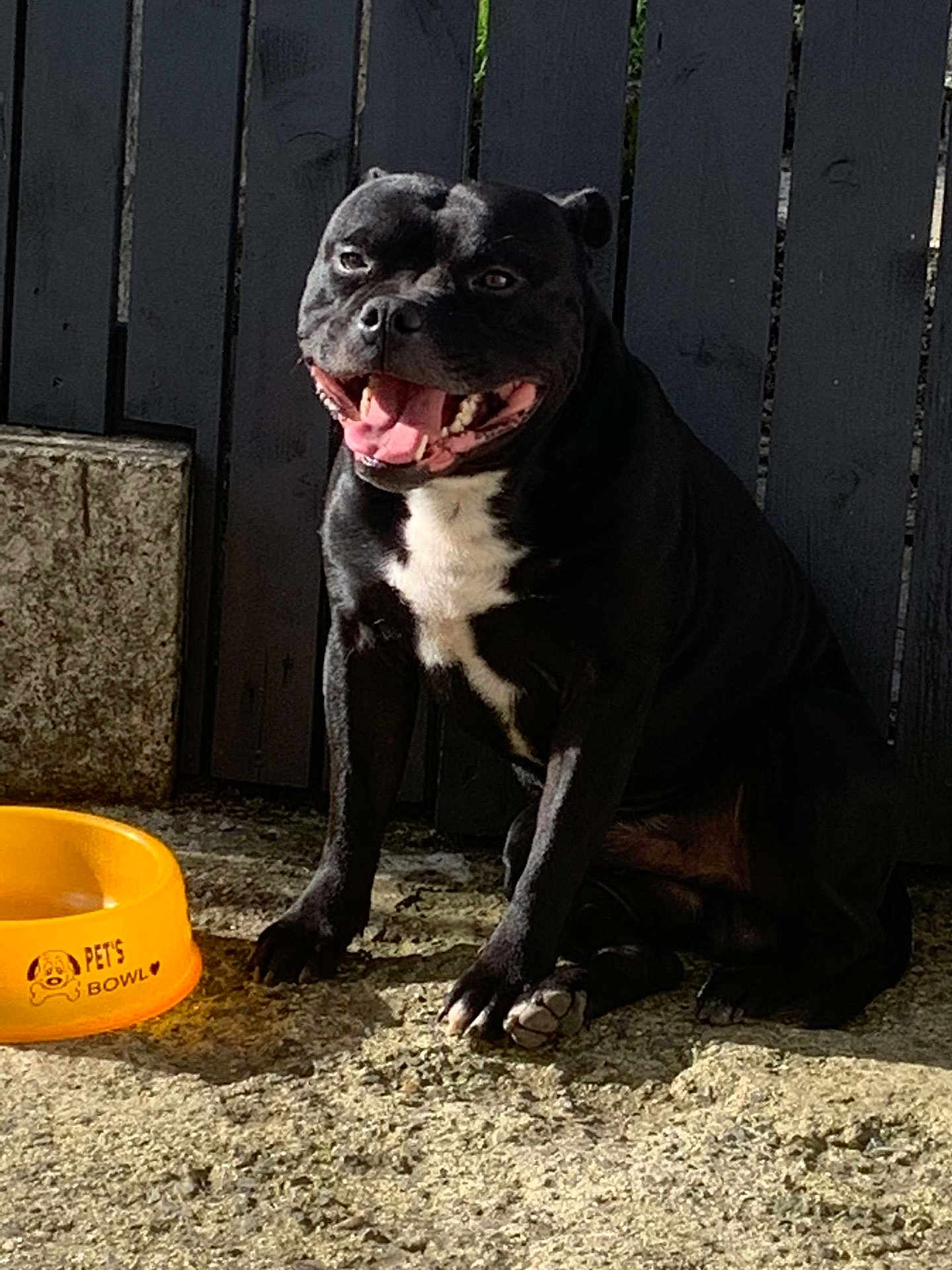 Paco