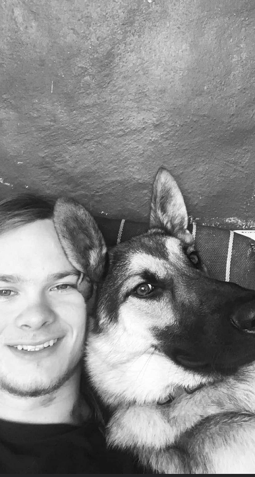 Tazzy is registered to the contest to win money with this photo: canidae, carnivore, companion_dog, dog, dog_breed, ear, flash_photography, fur, gesture, happy, herding_dog, king_shepherd, monochrome, monochrome_photography, smile, snout, stock_photography, style, whiskers, white