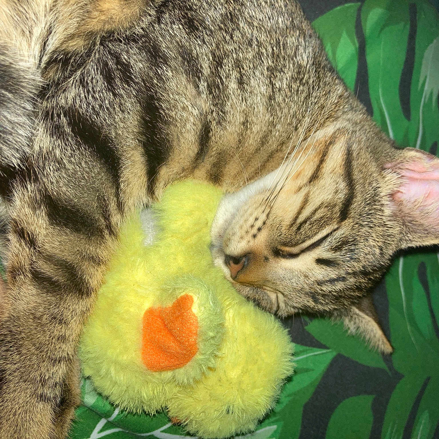 Tigger
