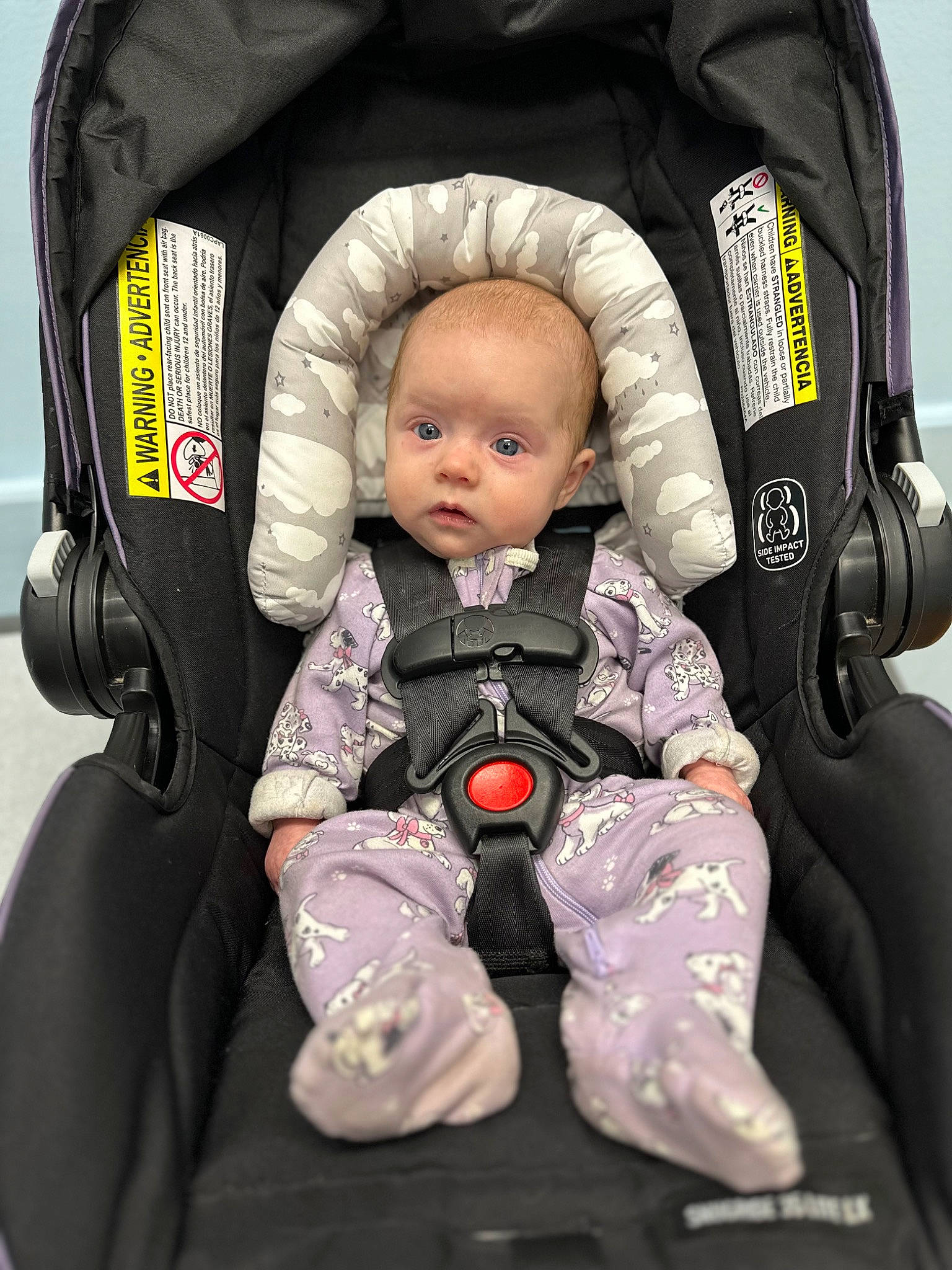 Nova joined the competition — help win amazing prizes! baby, baby_carriage, baby_in_car_seat, baby_products, baby_safety, baby_sleeping, baby_toddler_clothing, bag, baggage, car_seat, child, comfort, fashion_accessory, infant_bed, luggage_and_bags, person, product, sitting, sleeve, toddler