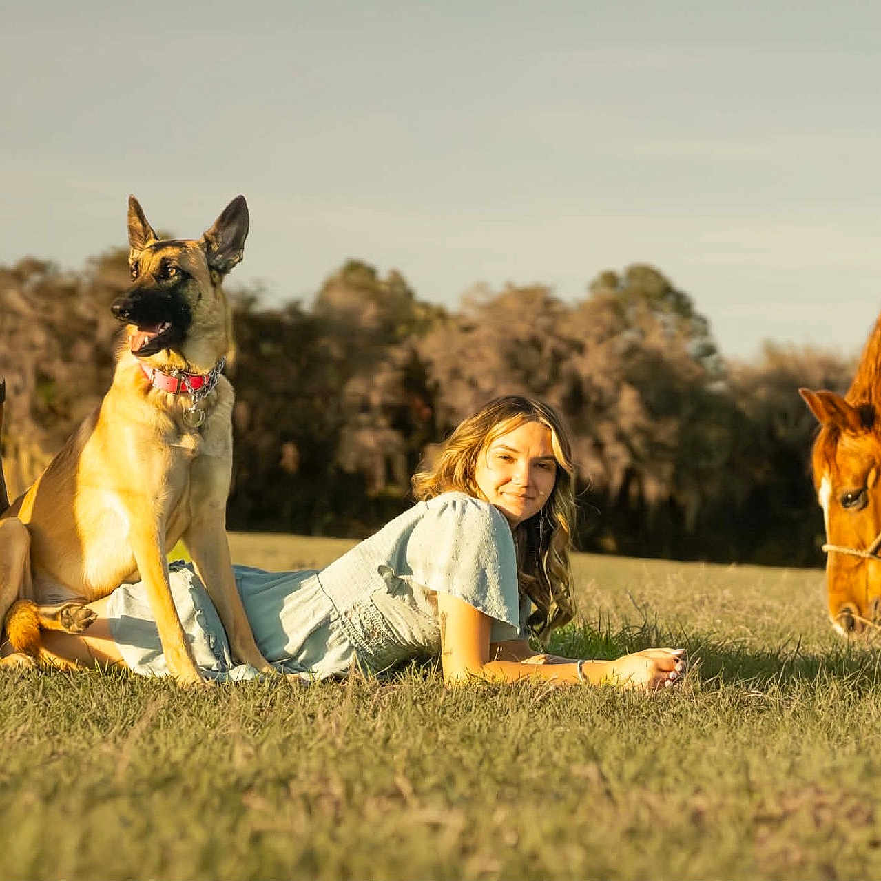 Flicka is registered to the contest to win money with this photo: woman, dog, horse, grass, field, sunlight, outdoor, nature, animal, pet, summer, relaxation, rural, casual, blue_dress, brown_dog, brown_horse, boots, fence, daytime