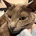 Yuoshka D.