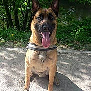 Kelios participe au concours pour gagner de l'argent avec cette photo :