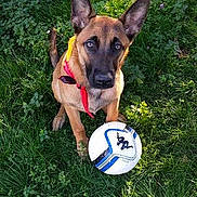 Kelios participe au concours pour gagner de l'argent avec cette photo :