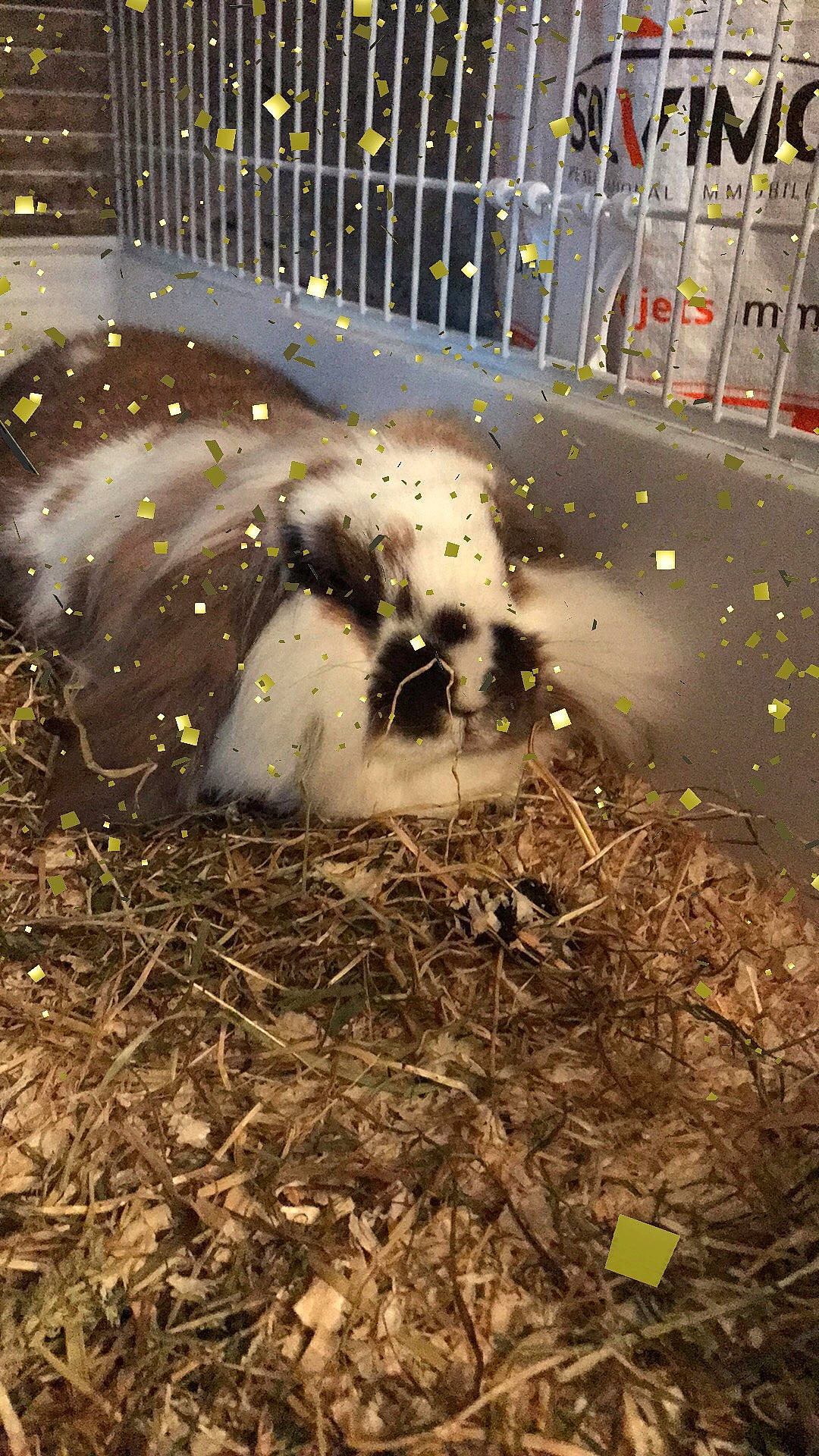 Sweaty participe au concours pour gagner de l'argent avec cette photo : soil