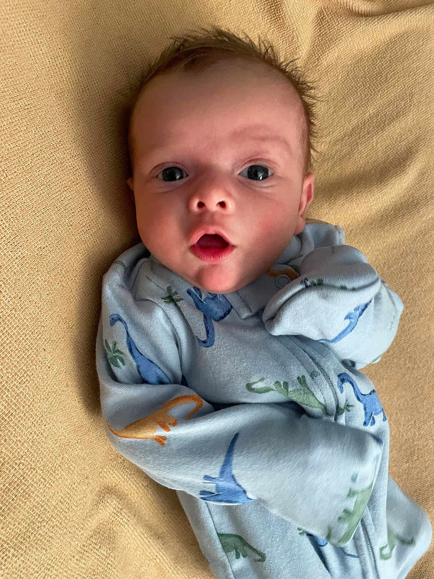 Bentley joined the competition — help win amazing prizes! baby, infant, dinosaur_onesie, blue_clothing, blanket, face, eyes, mouth, newborn, cute, portrait, lying_down, child, soft_texture, indoor, expression, young, person, sleepwear, cozy
