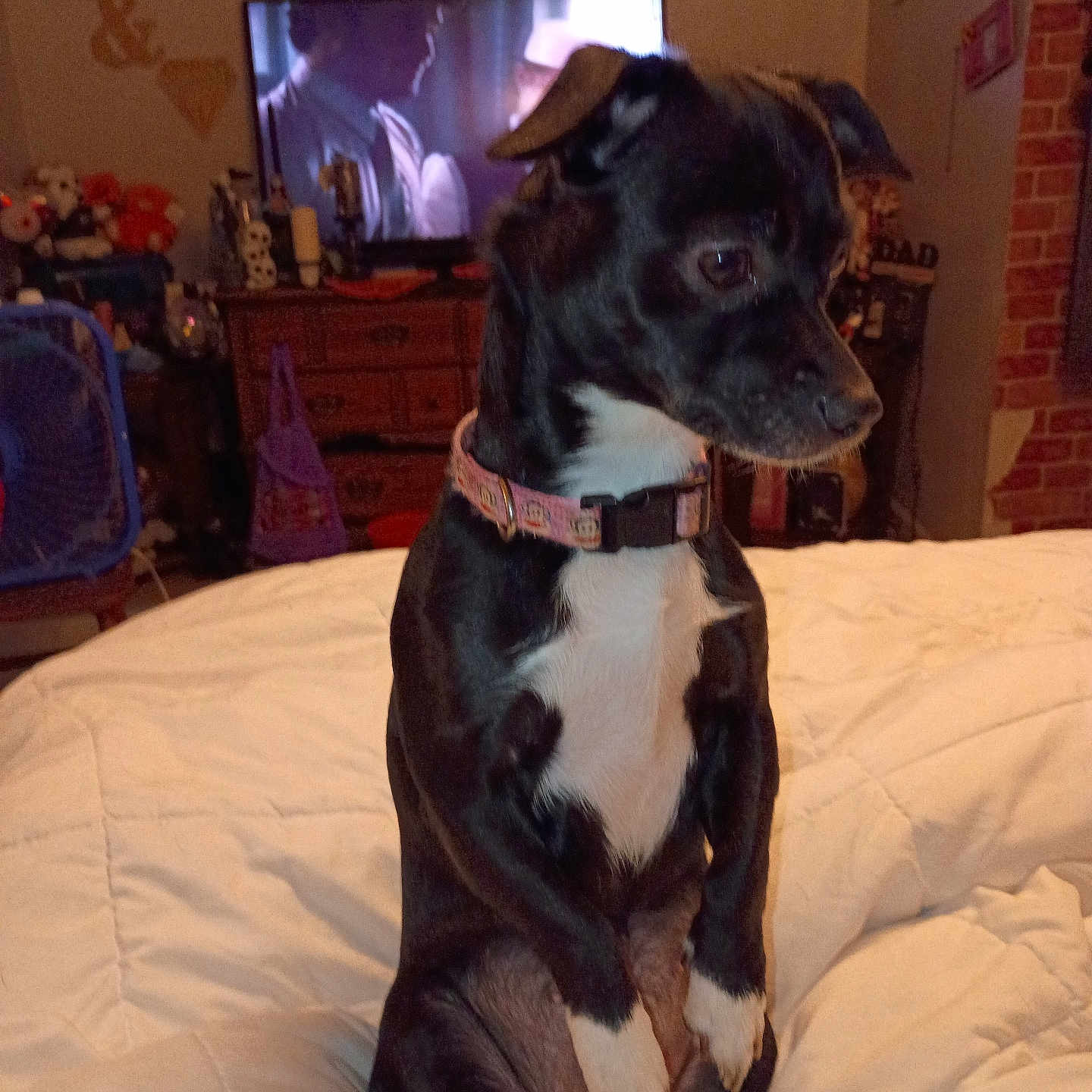 Princess Marie
