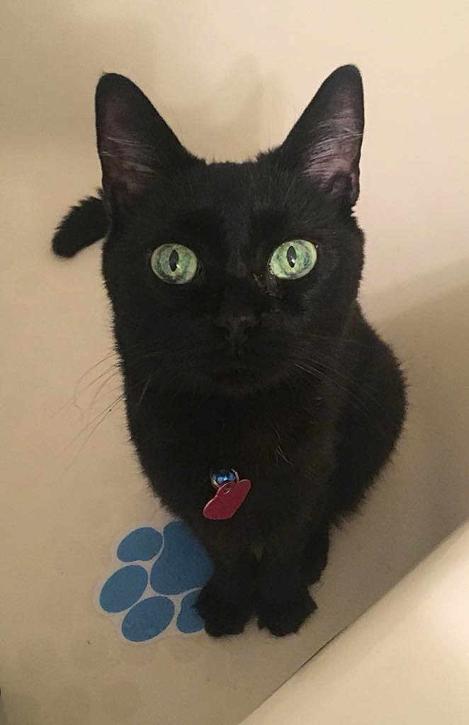 Mia