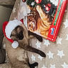 siamese_cat, cat, santa_hat, christmas, holiday, advent_calendar, orange_cat, blanket, stars, cozy, indoor, pet, feline, relaxed, cute, festive, decorations, couch, sleeping, animal