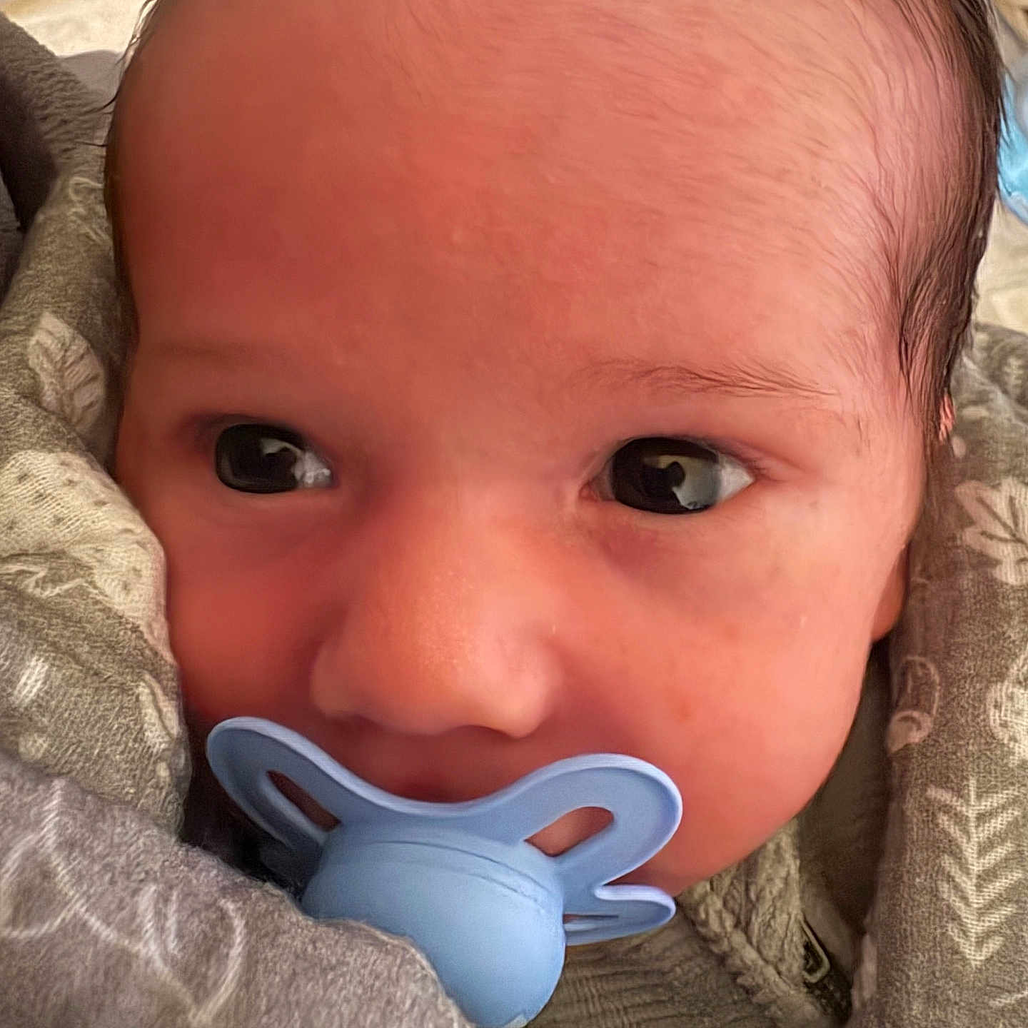 Adem a rejoint le concours — aidez-le/la à gagner de superbes lots ! baby, pacifier, blanket, close_up, infant, face, wrapped, sleepwear, soft, cute, newborn, skin, head, portrait, comfort, resting, eyes, child, young, cozy