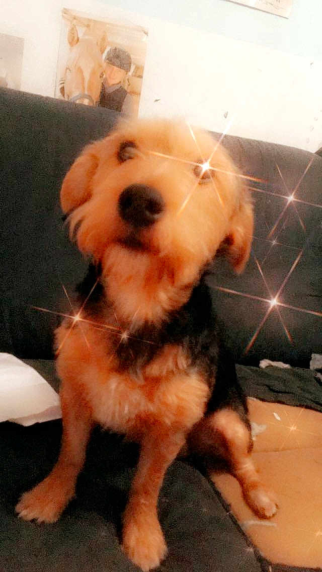 Pako