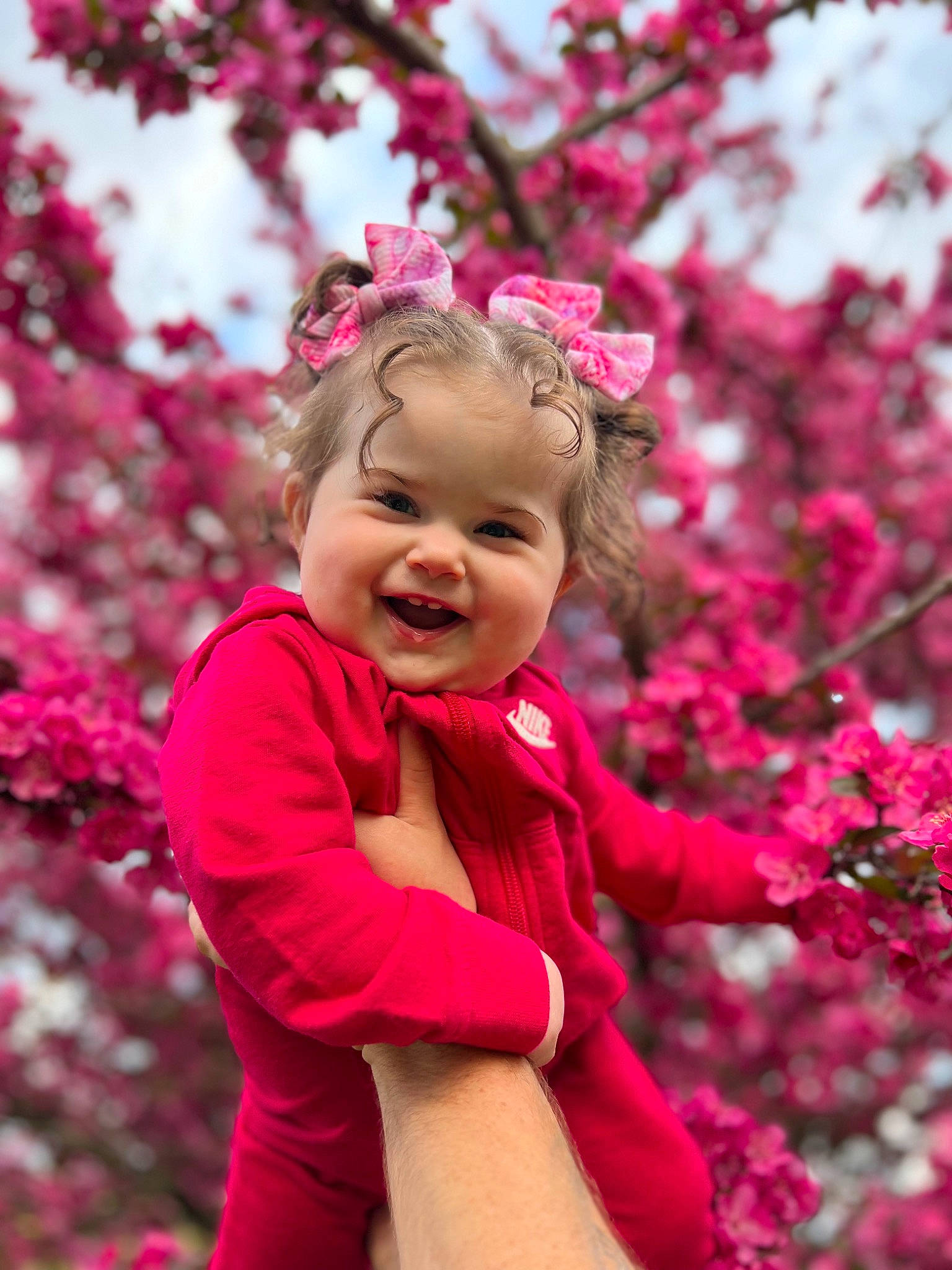 Hadley joined the competition — help win amazing prizes! eye, face, flower, flowering_plant, gesture, grass, hair, happy, head, joy, leisure, magenta, people_in_nature, person, petal, pink, plant, sky, smile, toddler