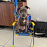 puppy, dog, chair, indoor, tile_floor, cabinet, plant, bag, blue, yellow, curious, pet, cute, small, fur, ears, eyes, nose, sitting, home