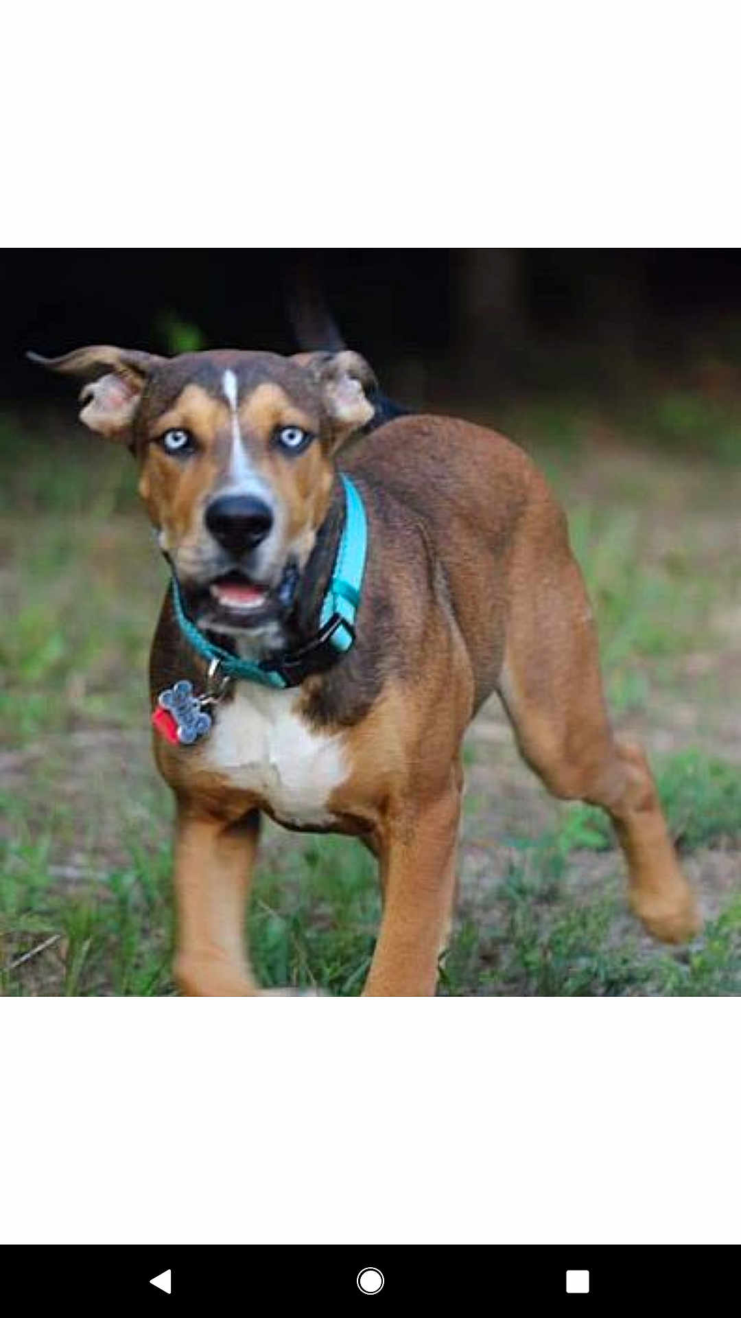 Odin