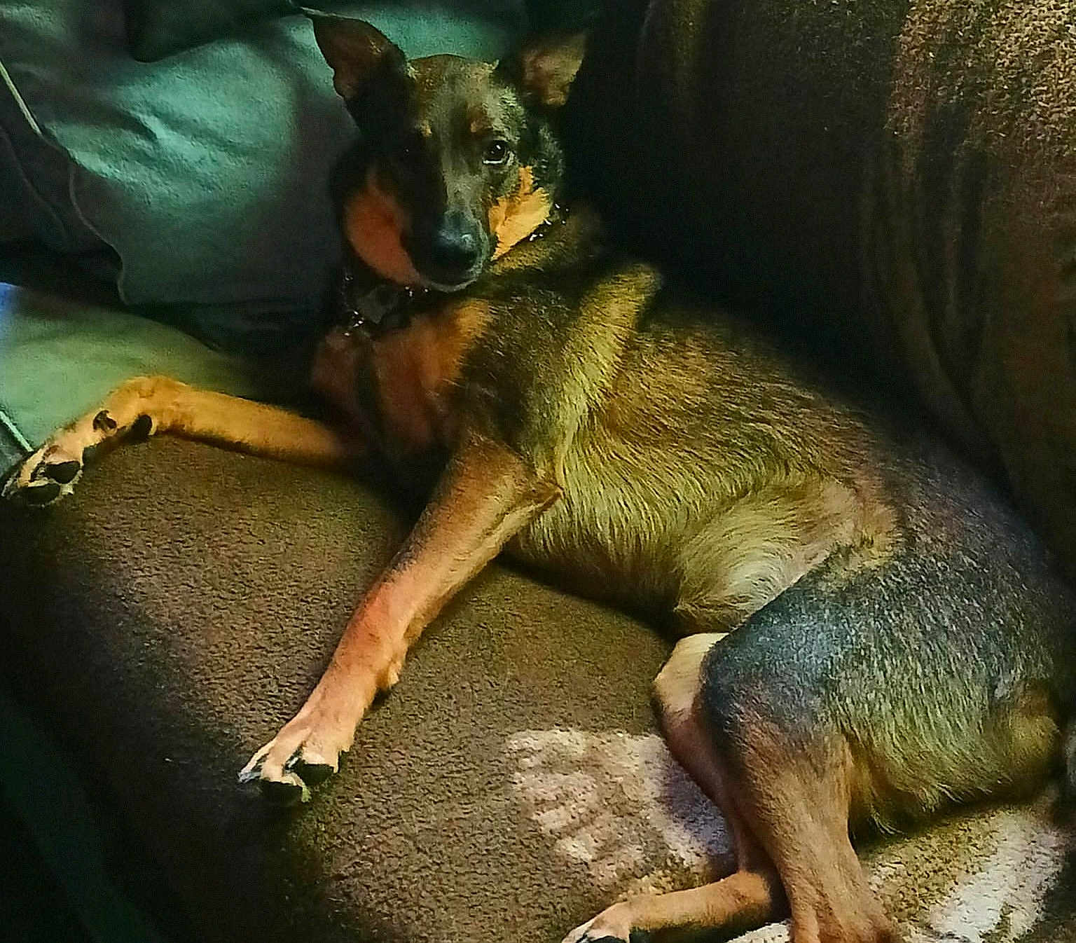 Myka
