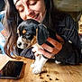 brown_black_white, casual_clothing, cute, dog, dog_food, domestic, friendly, hands, happy, headband, indoor, long_hair, pet, puppy, smartphone, smiling, table_surface, woman, wooden_table, young_adult