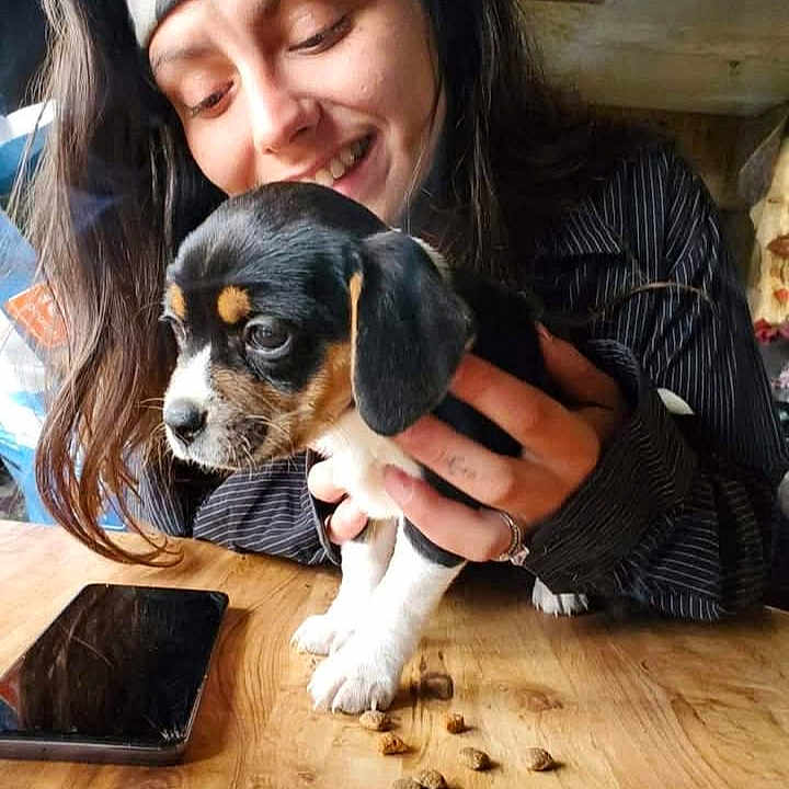 Pocahontas is registered to the contest to win money with this photo: brown_black_white, casual_clothing, cute, dog, dog_food, domestic, friendly, hands, happy, headband, indoor, long_hair, pet, puppy, smartphone, smiling, table_surface, woman, wooden_table, young_adult