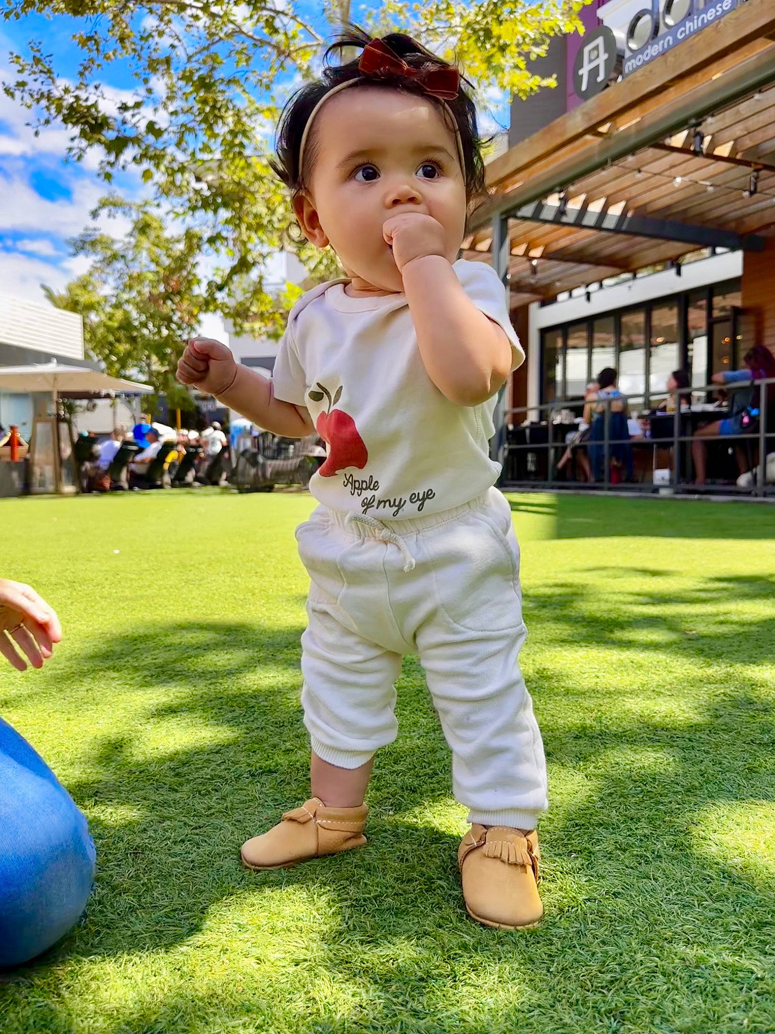 Marina is registered to the contest to win money with this photo: baby, ball, child, event, fun, gesture, grass, happy, lawn, leisure, people_in_nature, person, plant, play, recreation, shorts, sky, sneakers, spring, toddler
