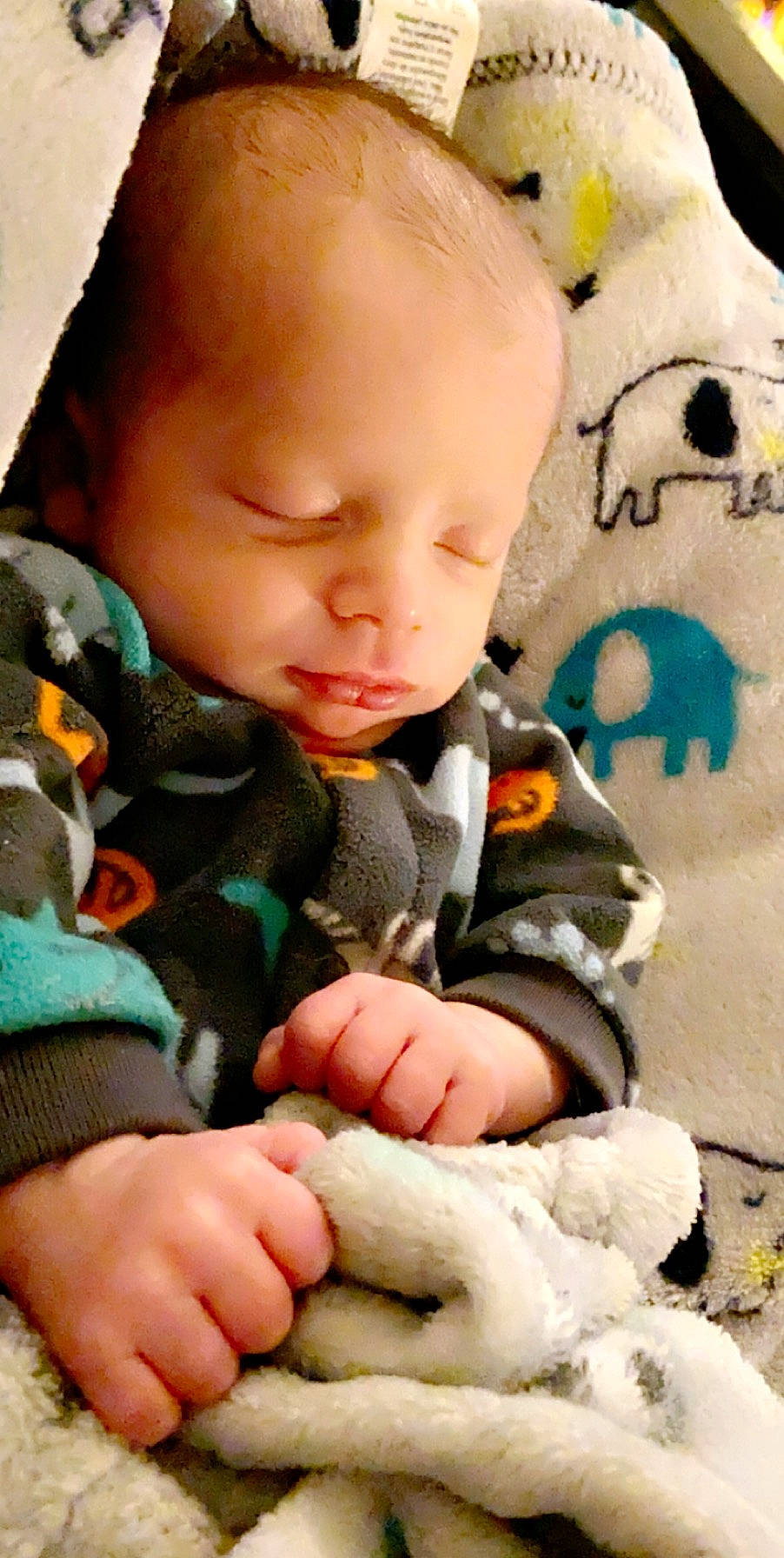 Boston joined the competition — help win amazing prizes! baby, cheek, child, finger, nose, person, play, skin, toddler