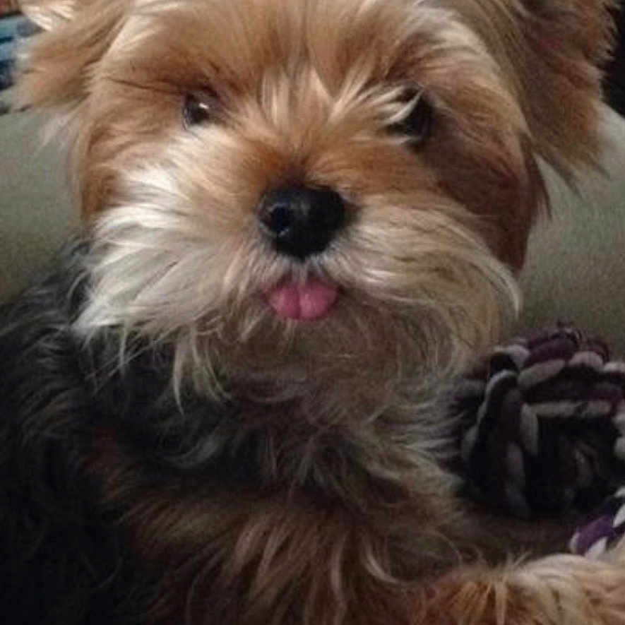 Miley