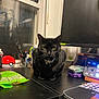 Onyx joined the competition — help win amazing prizes! black_cat, cat, desk, computer_monitor, pokeball, window, figurine, office_supplies, scissors, mouse_pad, keyboard, indoor, collar, pet, electronics, stationery, reflection, workstation, green_eyes, black_fur