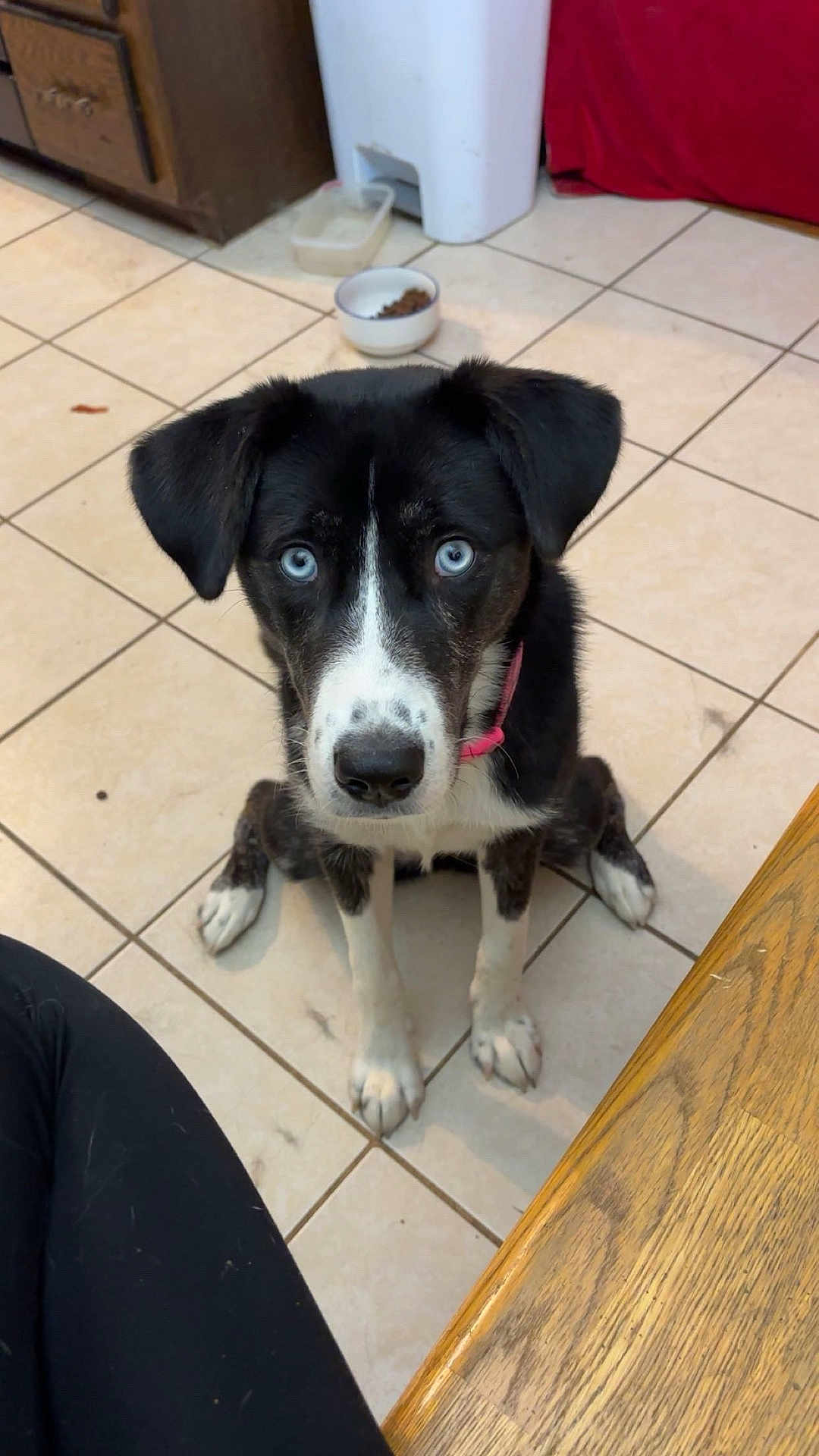 Bella