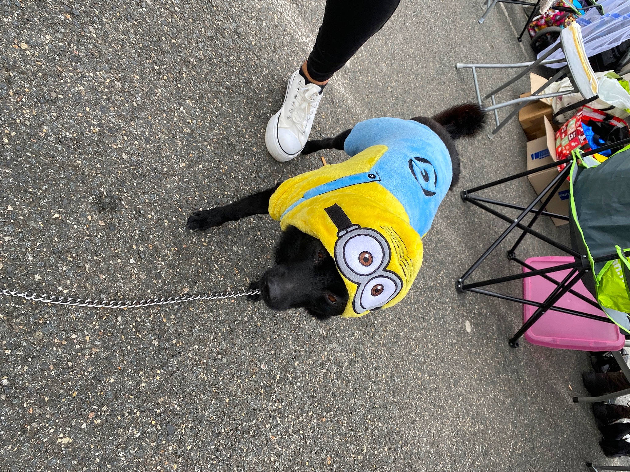 Holy participe au concours pour gagner de l'argent avec cette photo : asphalt, auto_part, automotive_design, automotive_exterior, automotive_tire, automotive_wheel_system, grass, human_leg, leg, motor_vehicle, personal_protective_equipment, race_track, racing, road, road_surface, sidewalk, tar, tire, vehicle, wheel