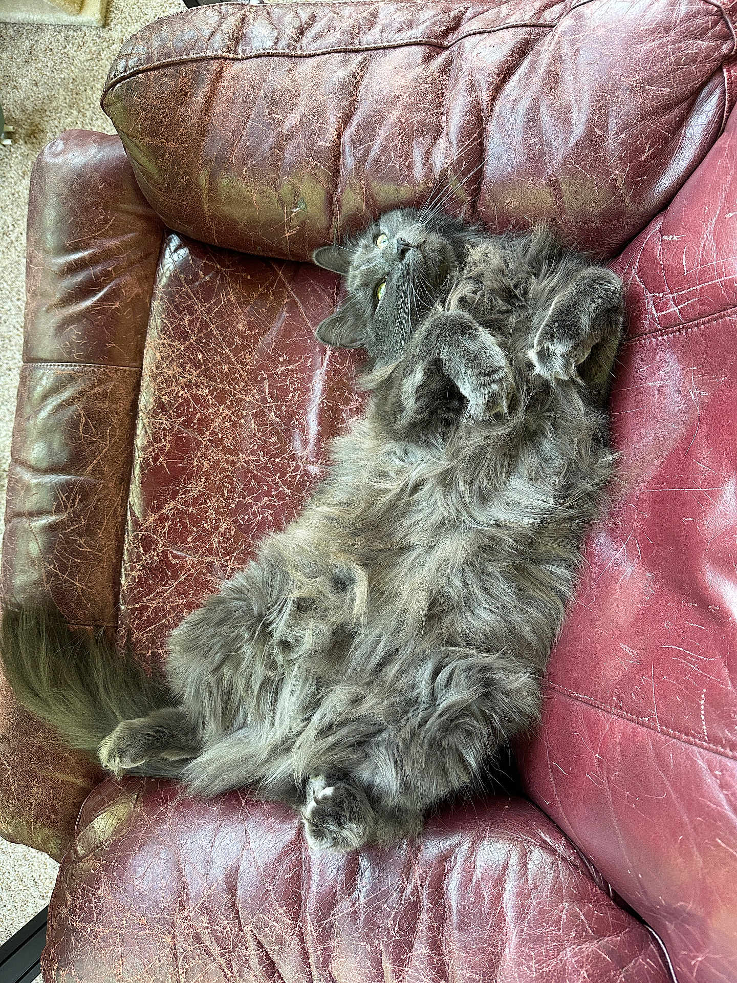 Luna