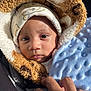 Zymir is registered to the contest to win money with this photo: baby, child, face, hand, blanket, hood, hat, fur_texture, blue_blanket, cozy, warm, infant, close_up, cute, newborn, bundle, soft, skin, portrait, indoor