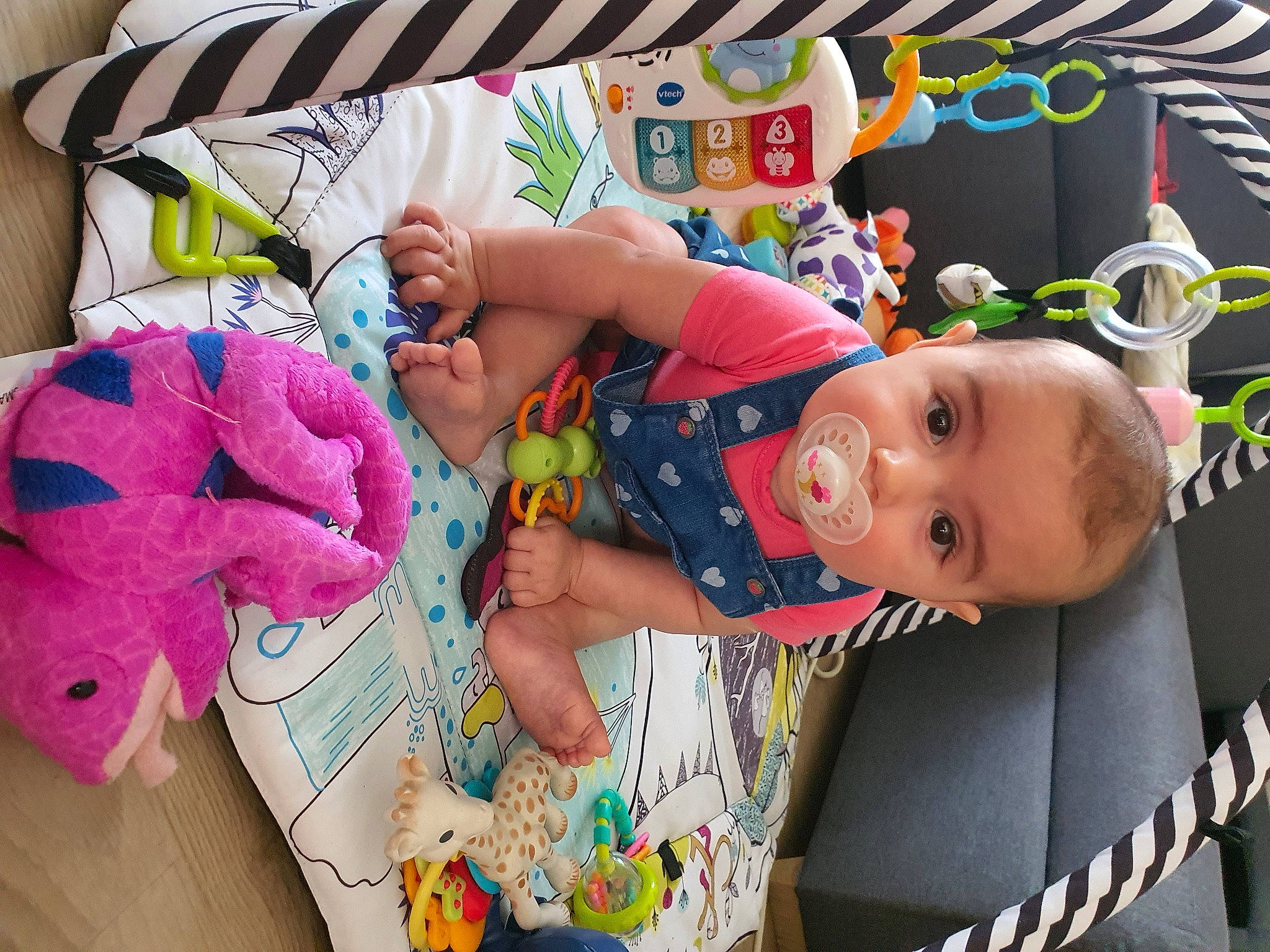 Anaëlle participe au concours pour gagner de l'argent avec cette photo : baby, baby_products, baby_toddler_clothing, baby_toys, cheek, child, facial_expression, fun, happy, linens, organ, person, pink, play, product, purple, room, stuffed_toy, textile, toddler