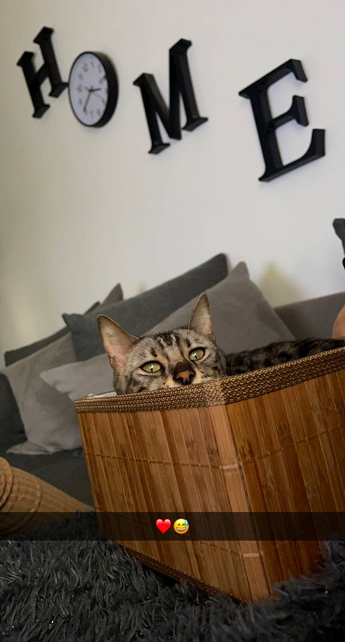 Plume participe au concours pour gagner de l'argent avec cette photo : carnivore, cat, clock, comfort, couch, domestic_short_haired_cat, fawn, felidae, floor, flooring, font, grey, hardwood, interior_design, quartz_clock, small_to_medium_sized_cats, whiskers, white, wood, wood_stain