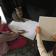 Kiti participe au concours pour gagner de l'argent avec cette photo : child, children, cat, tabby_cat, drawing, sketch, pencil, art, creative, floor, carpet, indoor, sitting, casual_clothing, long_hair, board, whiteboard, curious, observing, home