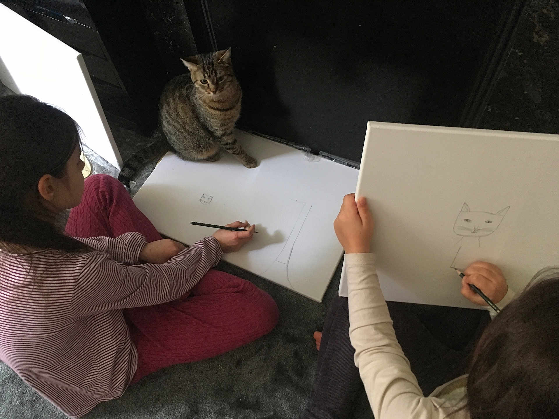 Kiti