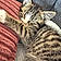 Mylo