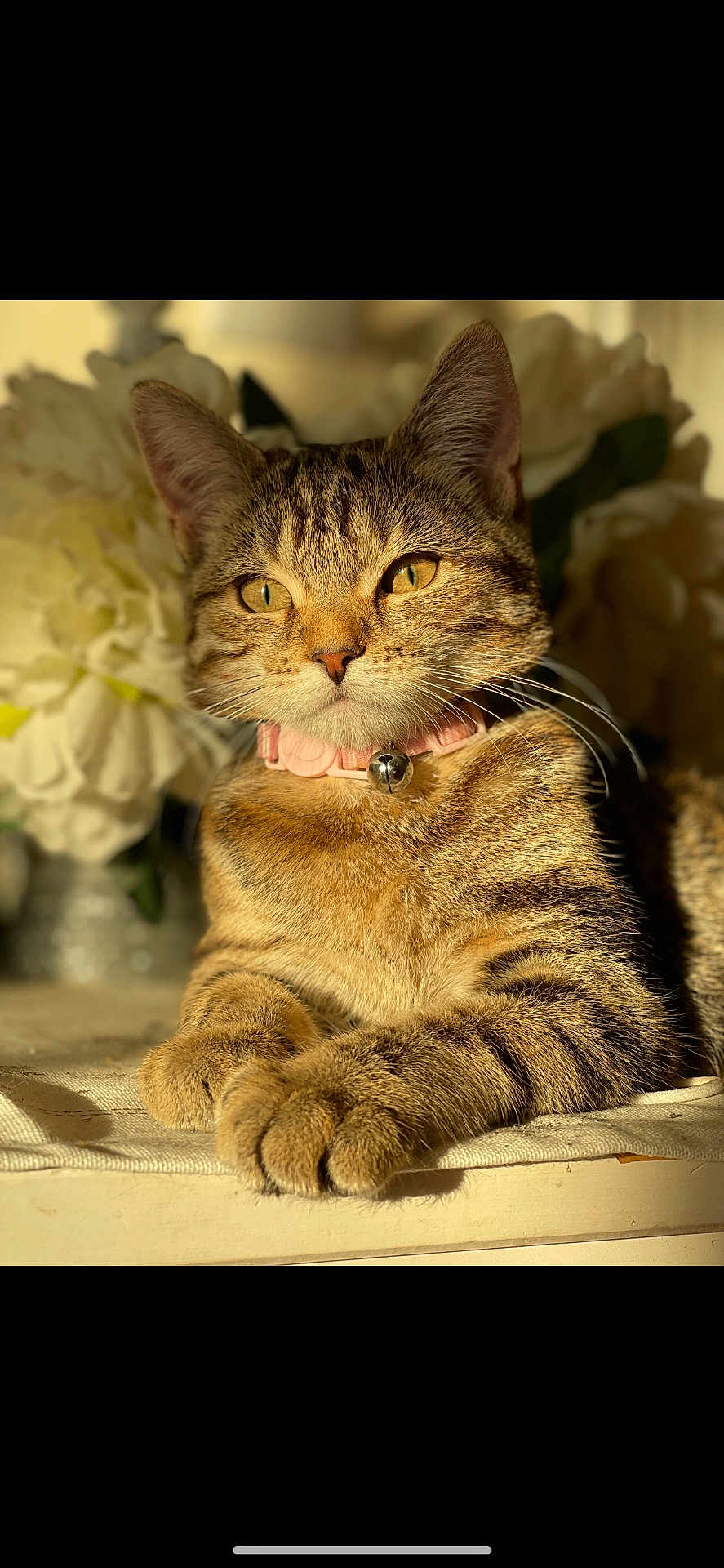 Sweety