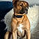 Samson