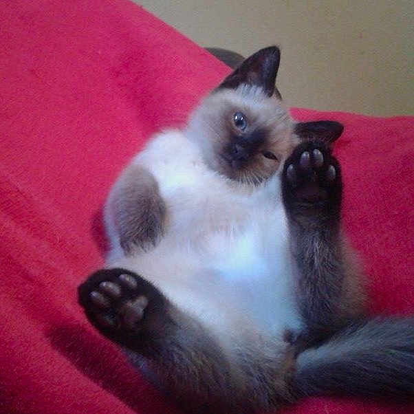 Luna
