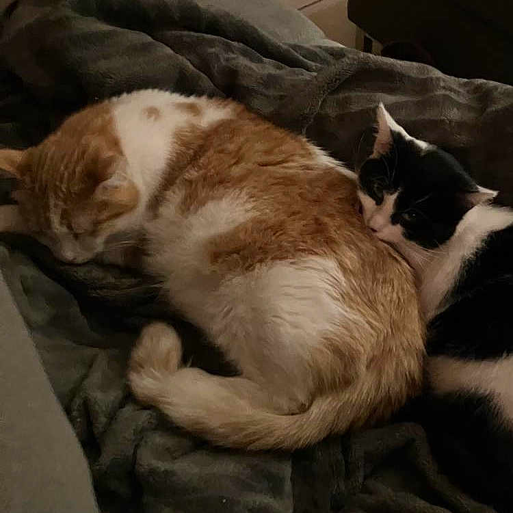 Caramel