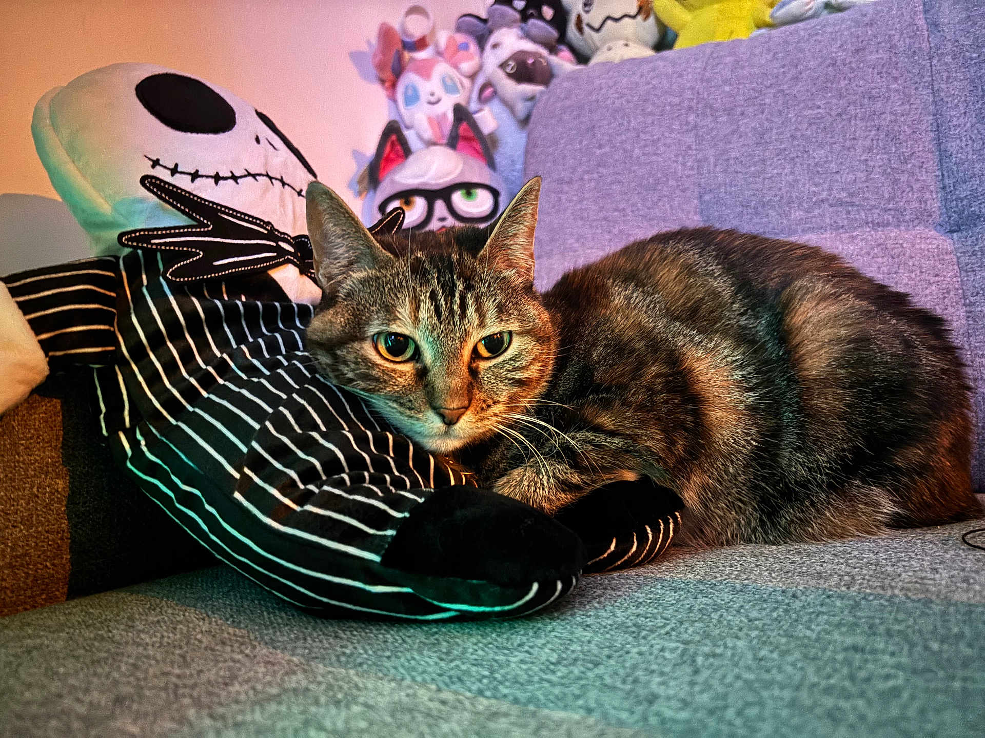 Nanie participe au concours pour gagner de l'argent avec cette photo : abyssinian, animal, architecture, armchair, ball, building, cat, chair, couch, cushion, football, furniture, homedecor, indoors, kitten, livingroom, manx, pet, room, sphere