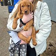 Reva is registered to the contest to win money with this photo: black_pants, blanket, brown, building, canine, container, cute, dog, farm, glasses, ground, happy, holding, long_hair, outdoor, paw_print, person, puppy, smile, white_jacket