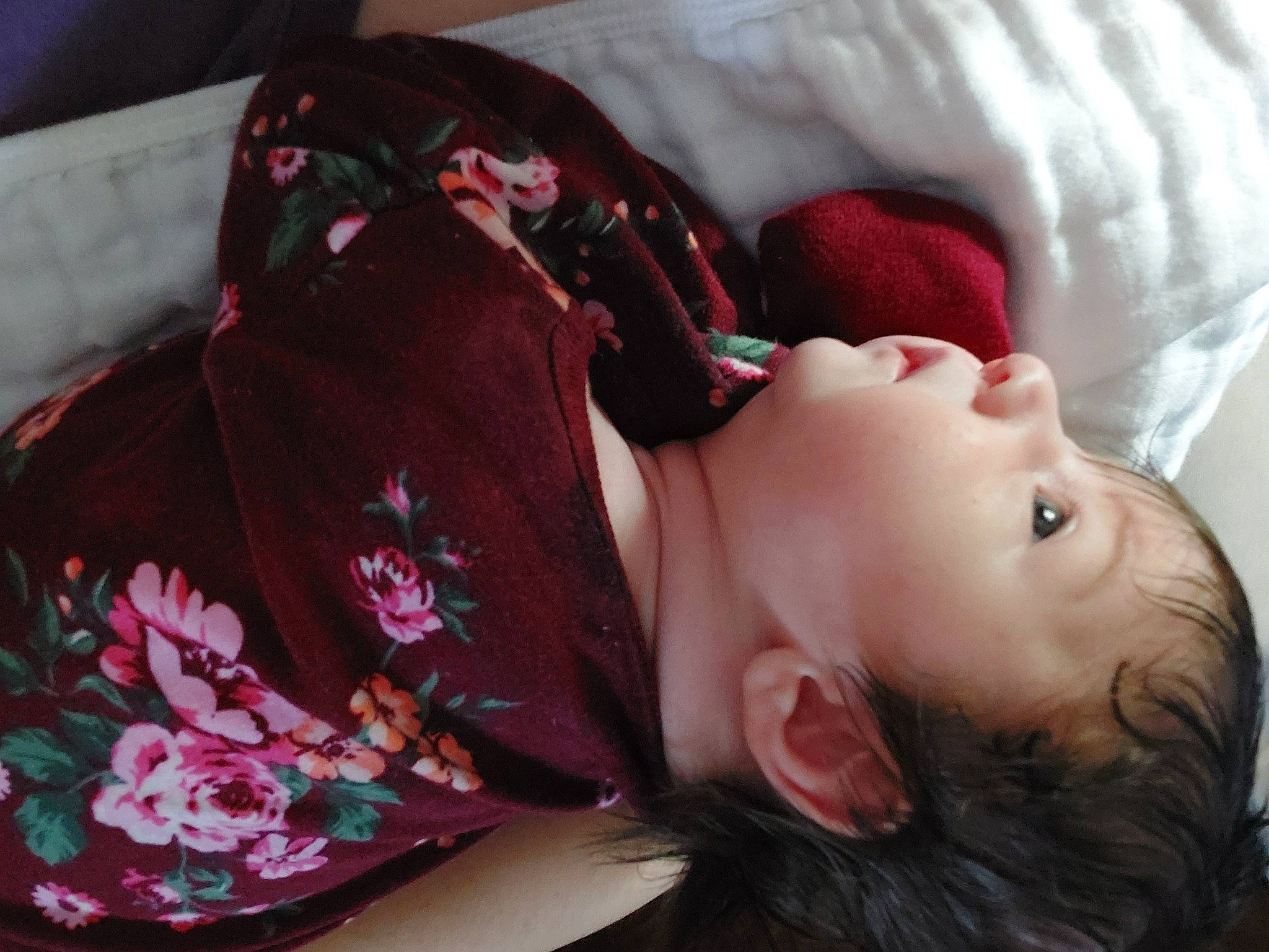 Madilyn joined the competition — help win amazing prizes! black_hair, brown_hair, child, comfort, eyelash, fashion_accessory, flower, fur, human, linens, lip, long_hair, magenta, mouth, pattern, person, pink, skin, textile, thigh