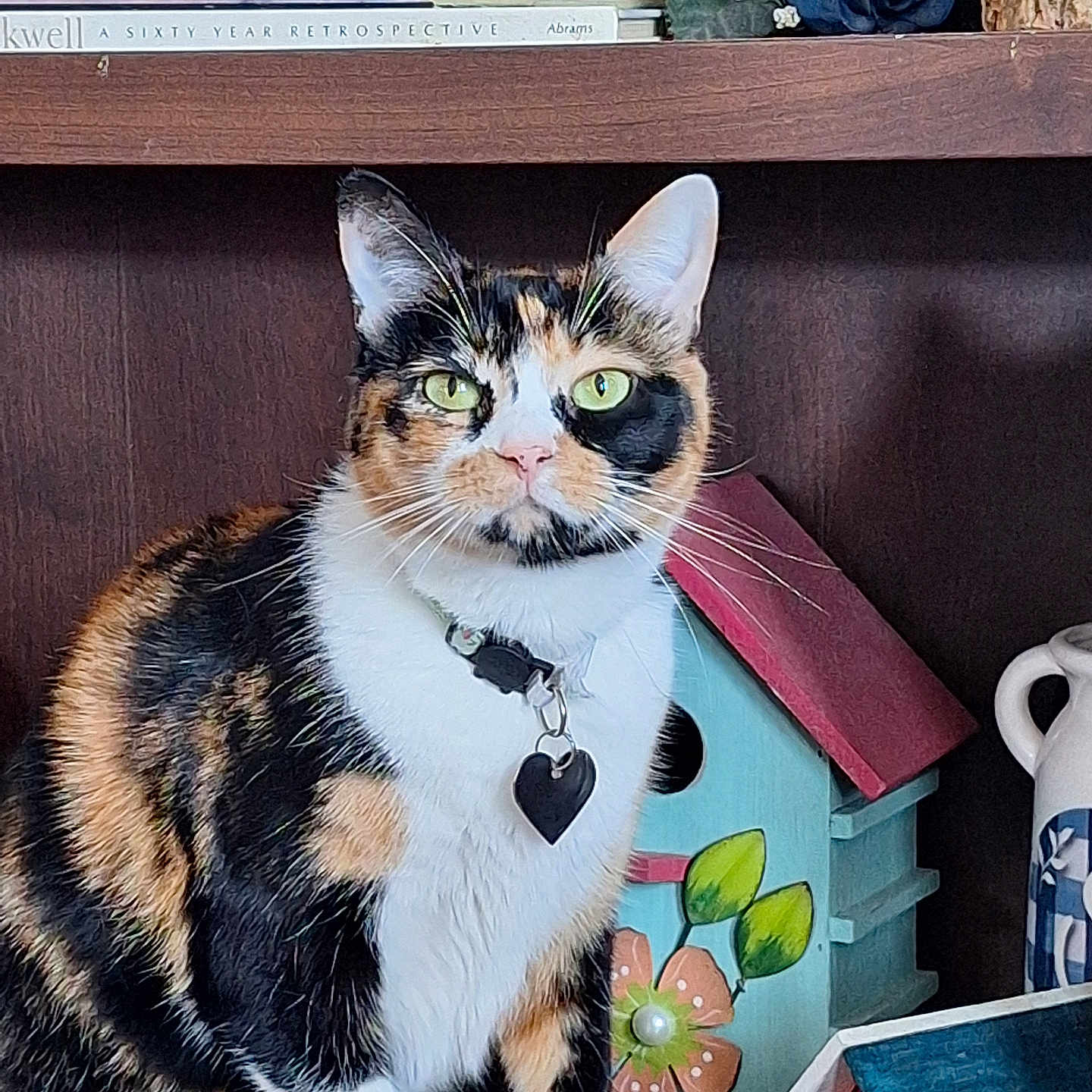 Phobee is registered to the contest to win money with this photo: cat, calico_cat, pet, animal, sitting, portrait, indoors, bookshelf, books, flowers, collar, heart_tag, green_eyes, whiskers, fur, tricolor, cozy, home_decor, mug, colorful_background