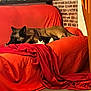 dog, cat, couch, blanket, orange, red, brick_wall, indoor, pet, animal, relaxing, cozy, furniture, floor, tile_floor, small_cat, large_dog, resting, companion, domestic